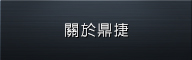 關於鼎捷